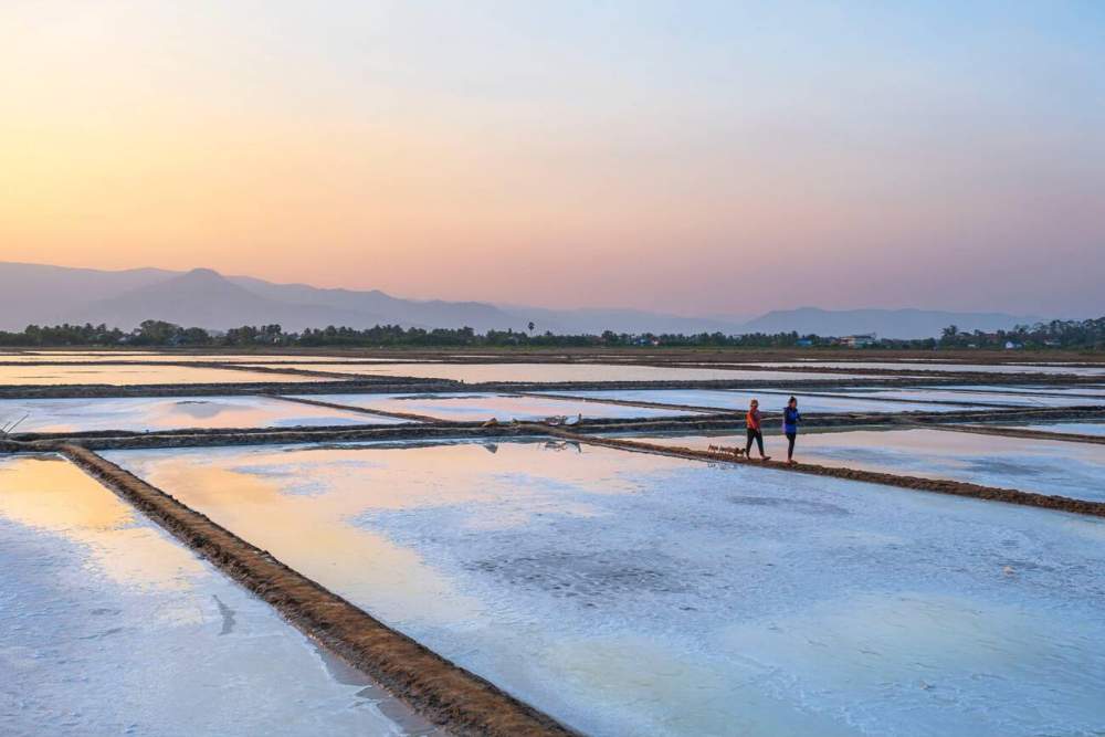 ביקור בשדות המלח (Kampot Salt Fields)